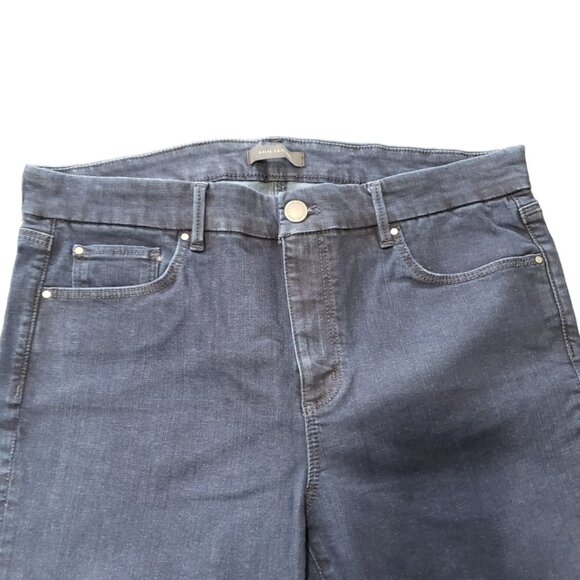 CT1311 Ann Taylor Blue "The Straight" Jean Size 12 - Picture 2 of 4